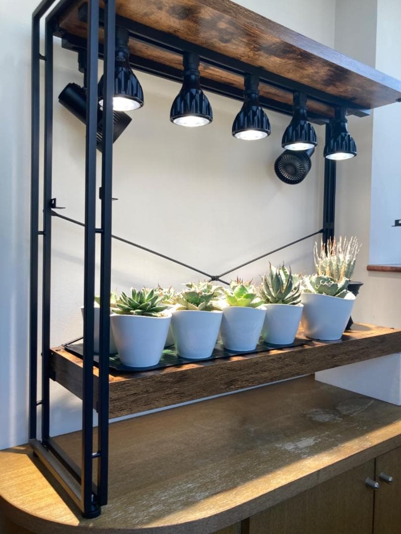 A【BARREL公式】Aechmea（エクメア）ファン、ライティングレール設置タ