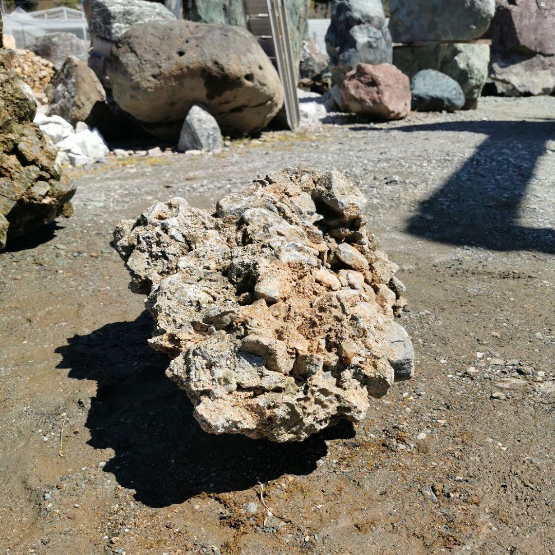 岐阜県　揖斐川産　さざれ石　64キロ　庭石　鑑賞石　石　庭　坪庭　ガーデニング