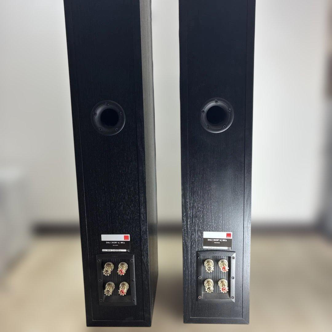 動作確認済みDALIトールボーイ型スピーカー「IKON 6 MK2」 ♣️0431