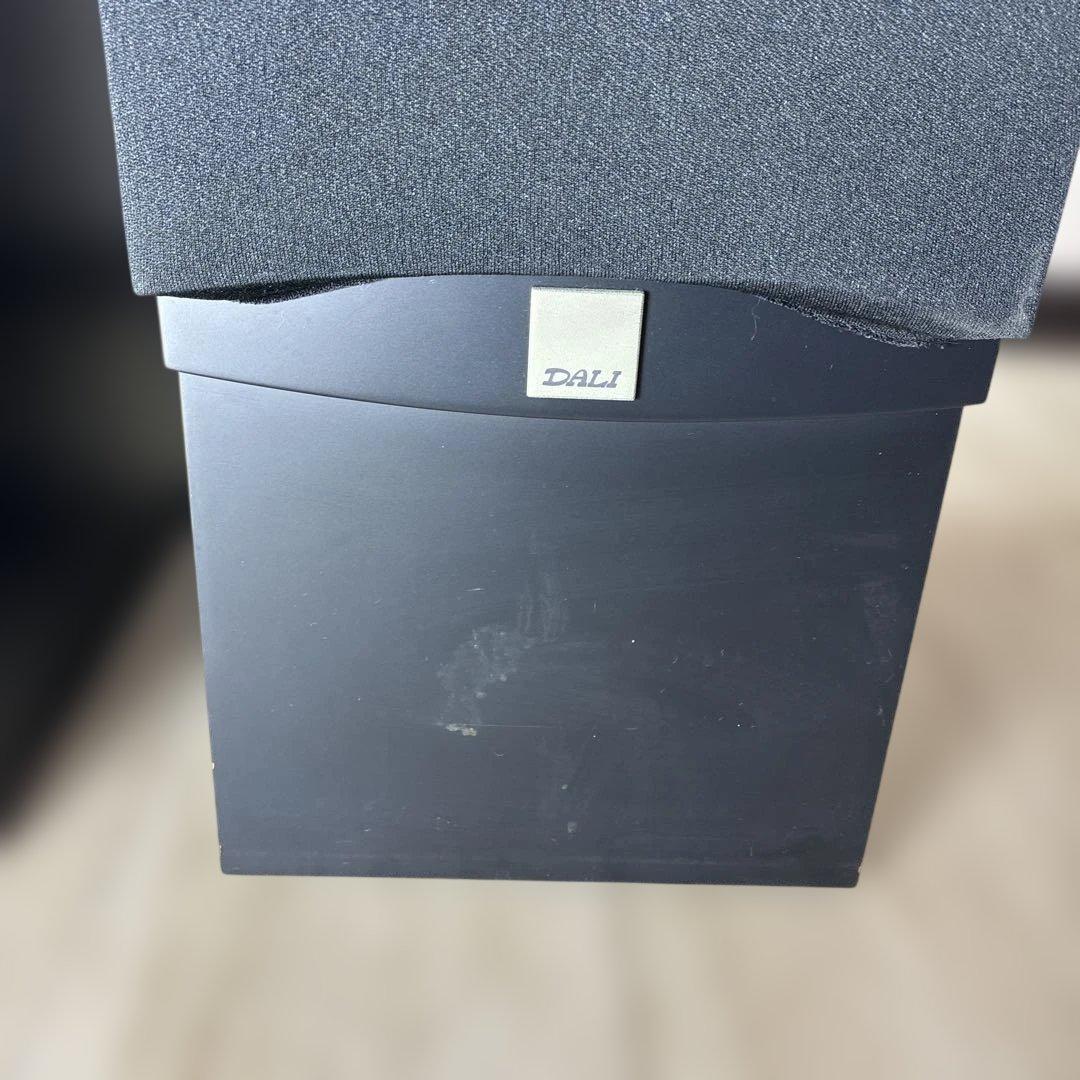 動作確認済みDALIトールボーイ型スピーカー「IKON 6 MK2」 ♣️0431