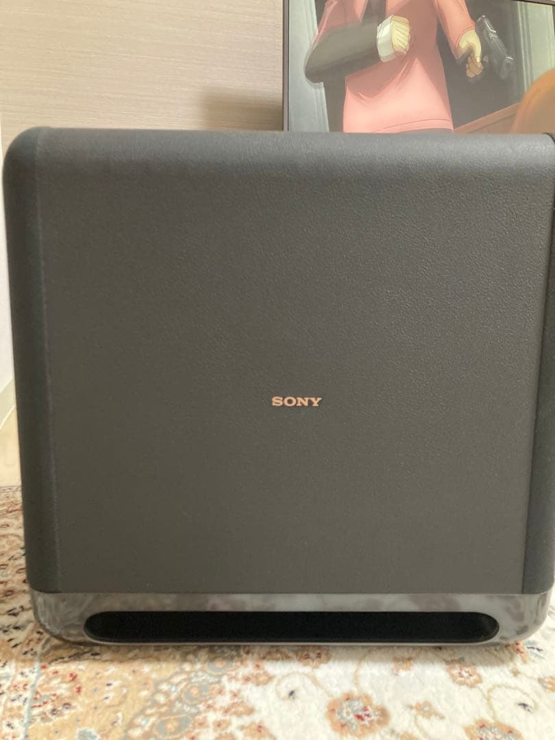 SONY sa-sw5 最終値下げ❗️