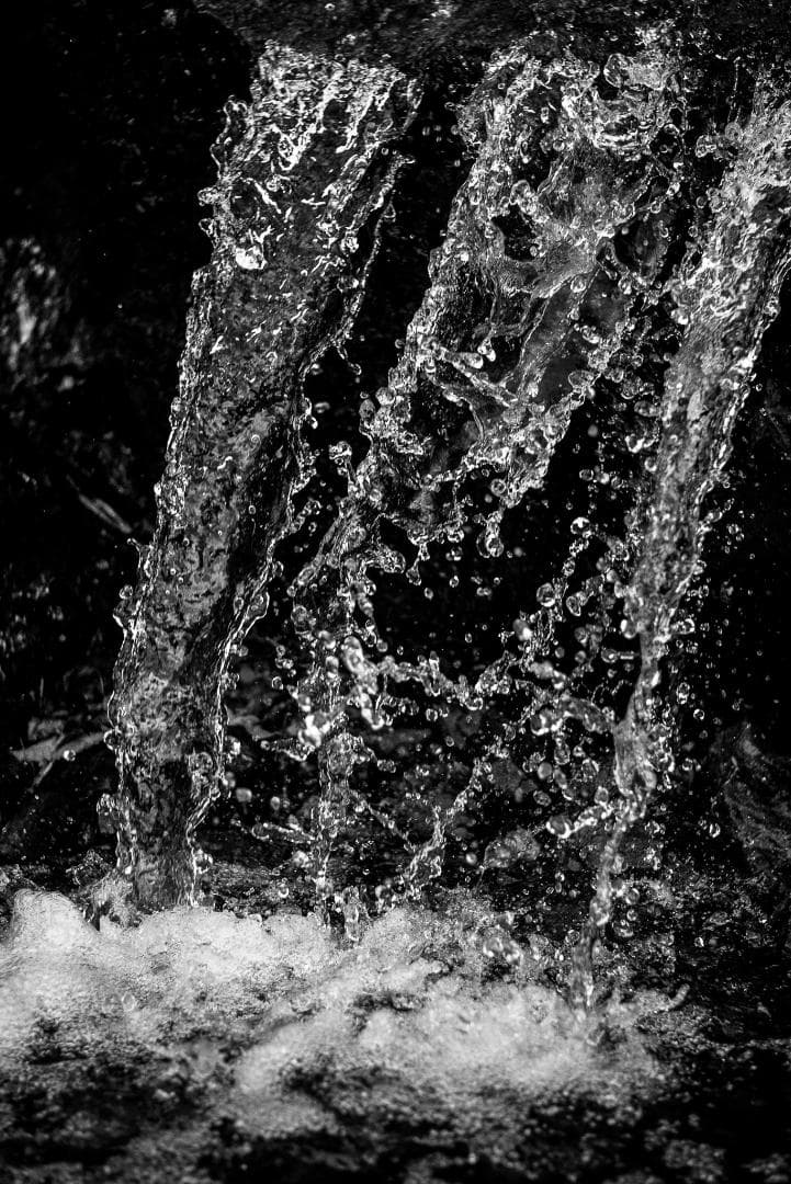 mauLR様　Leica Elmar 65mm F3.5 Visoflex