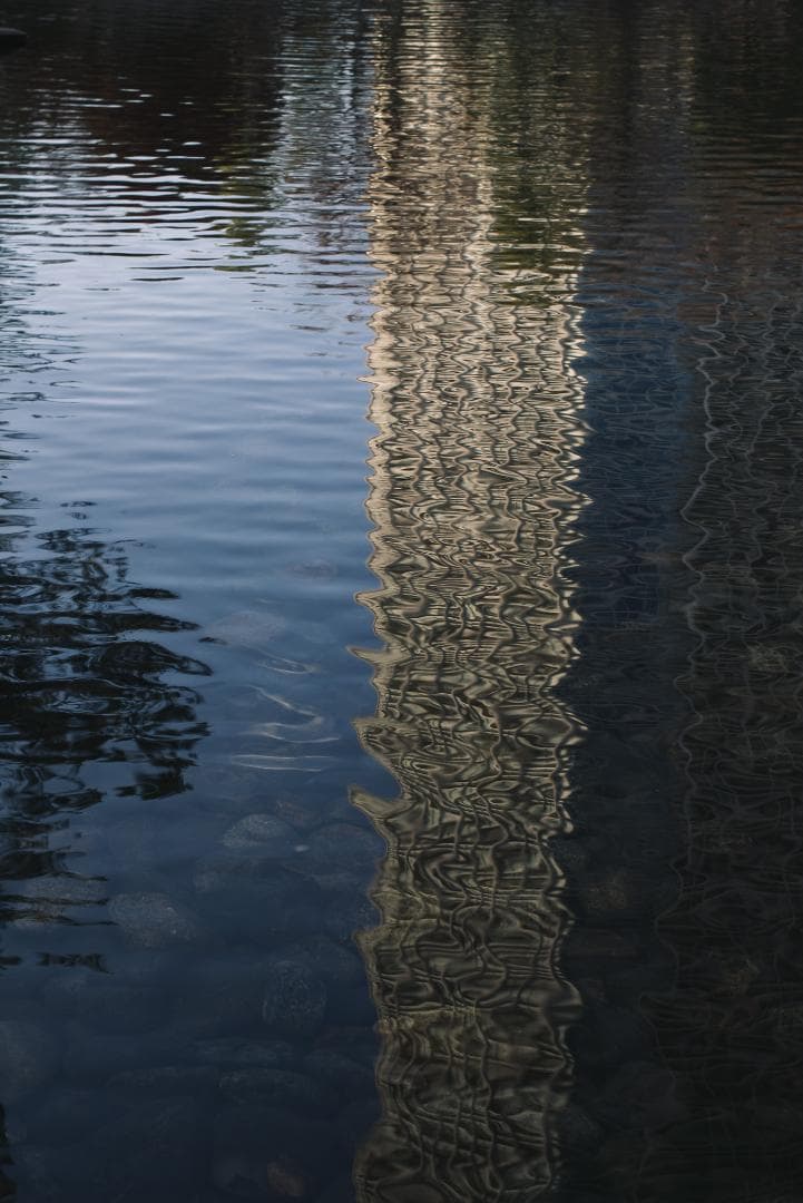 mauLR様　Leica Elmar 65mm F3.5 Visoflex