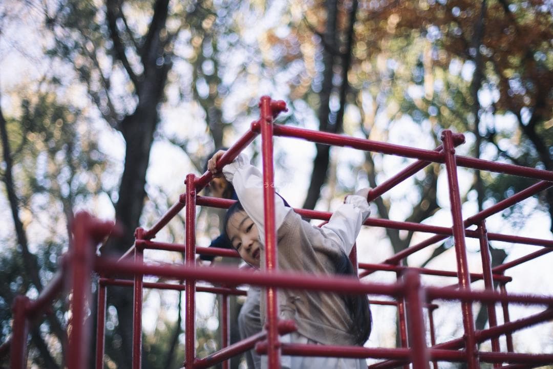 良品！標準の帝王！Planar 50mm F1.4 AEJ オールドレンズ