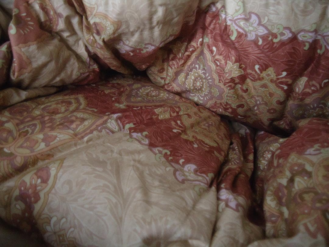 【未使用品】エルセラーン　Elserein　羽毛布団