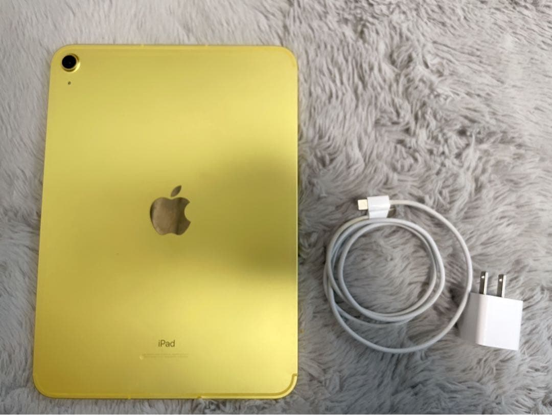 iPad 第10世代64GB WI-FI + cellularモデルA2757