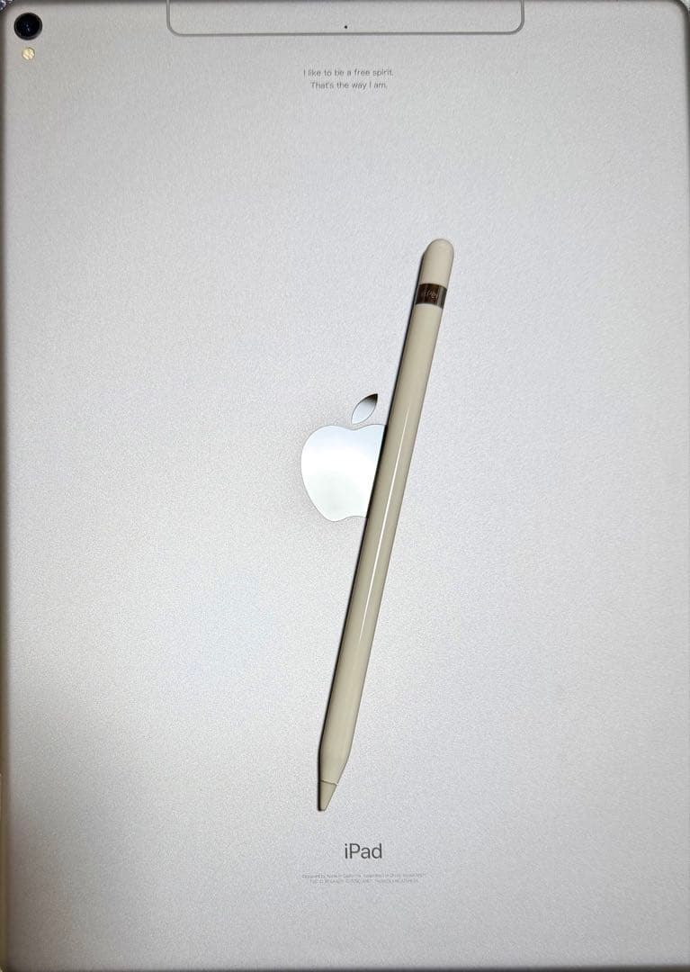 iPad Pro 12.9 第2世代 256GB Apple Pencil付