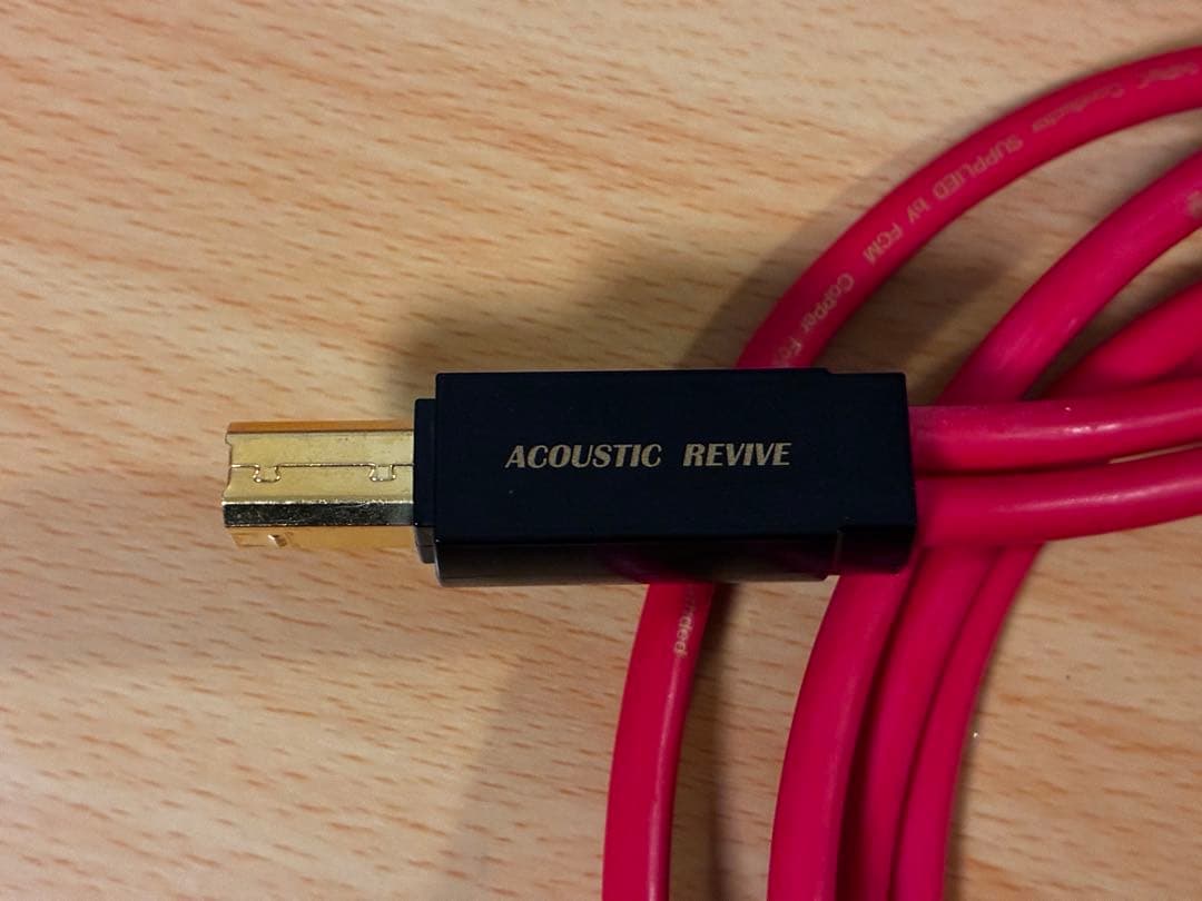 Acoustic Revive　R-AU1-PL 1m