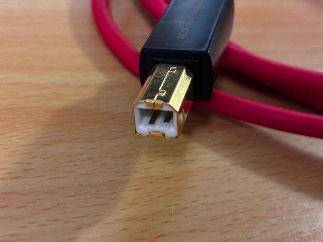 Acoustic Revive　R-AU1-PL 1m