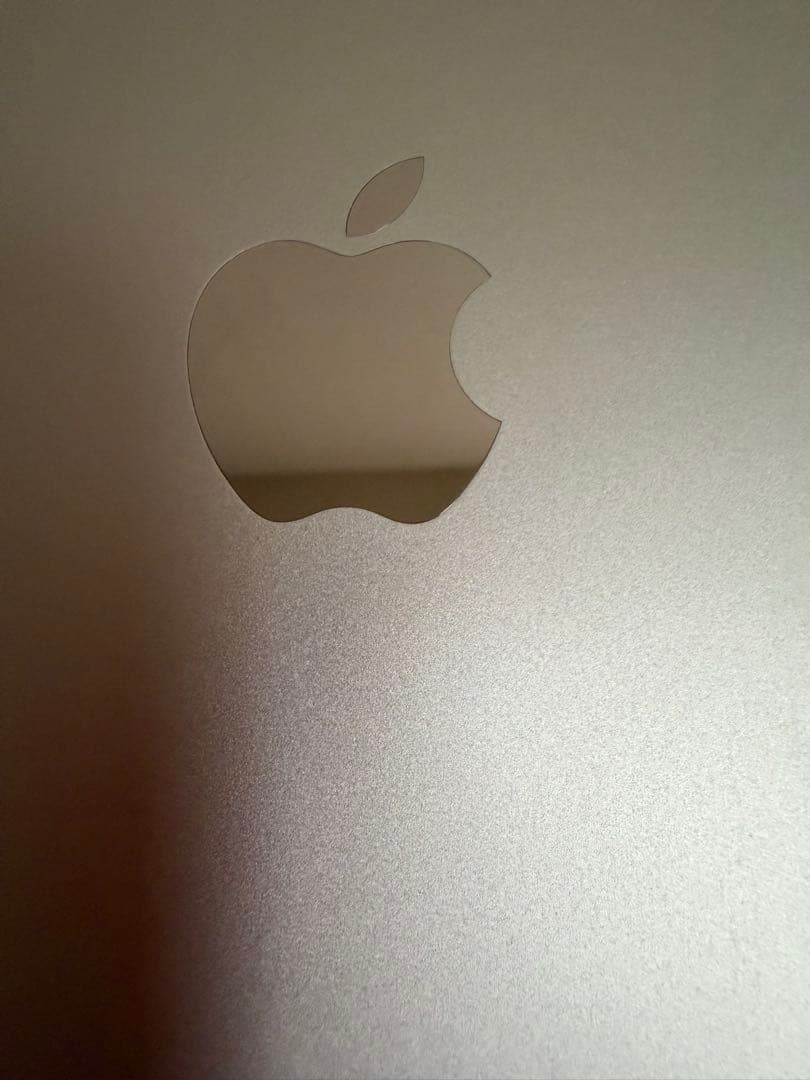 iPad Pro 13インチ M4 256GB シルバー Wi-Fi