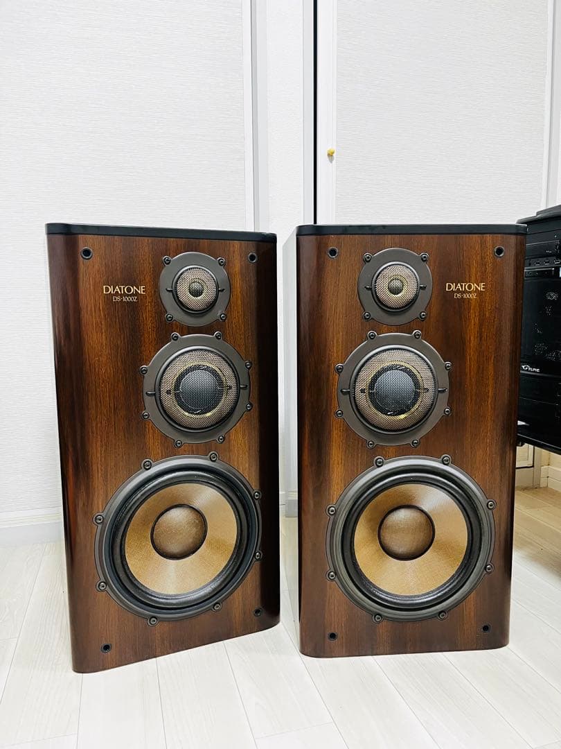 DIATONE DS-1000Z (godou様の専用品です。)