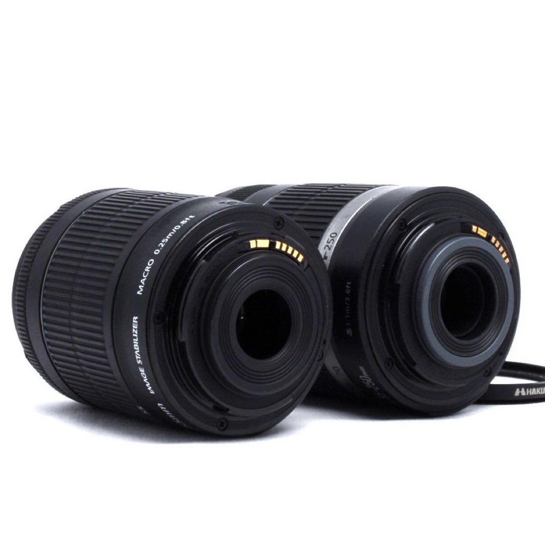 ★動く被写体の撮影に最適★野鳥★スポーツ撮影★Canon Kiss X9i★