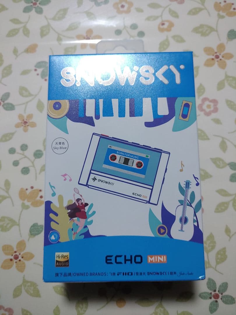 Fiio ehco mini ほぼ未使用