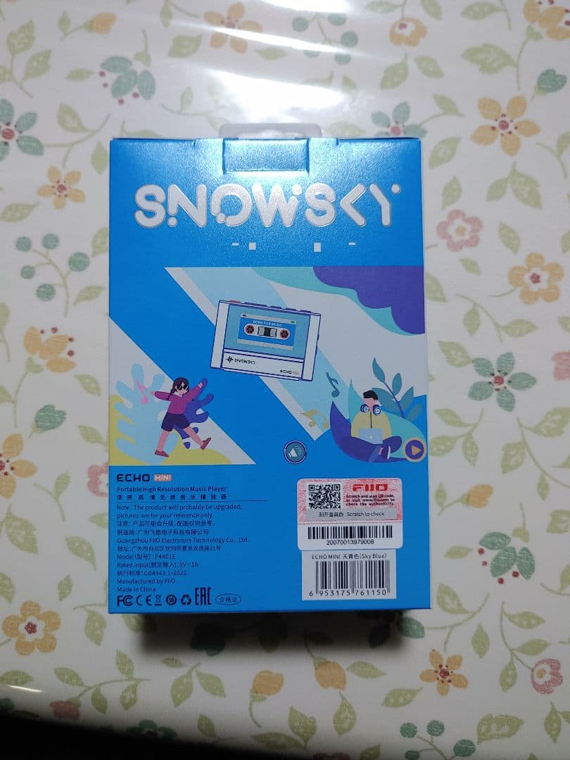 Fiio ehco mini ほぼ未使用