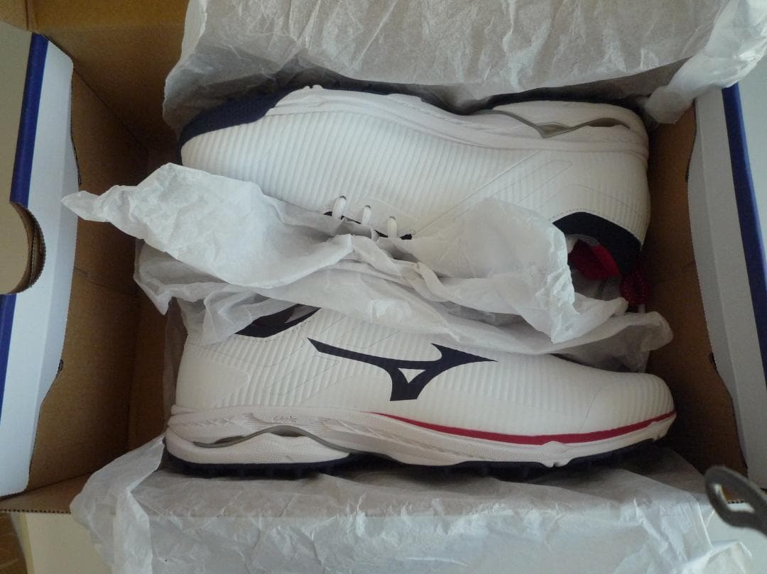 ミズノ ゴルフシューズ ウエーブケイデンス スパイクレス 3E メンズ スポーツ