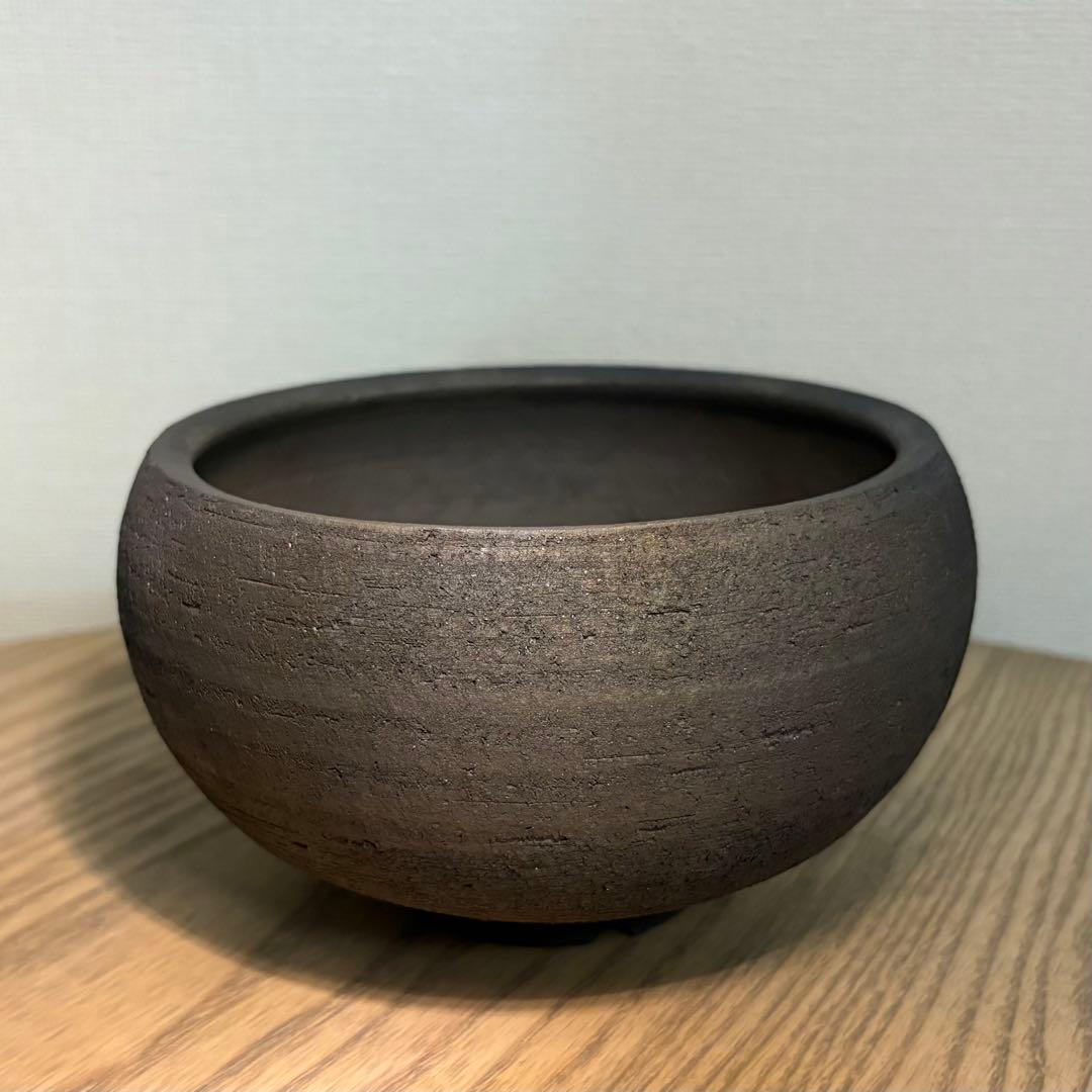 早い者勝ち ボタブロ限定50個 みやび鉢＋おまけ鉢