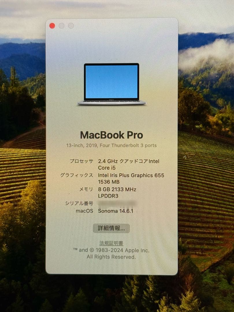 MacBook Pro 13インチ (2019) 海外版