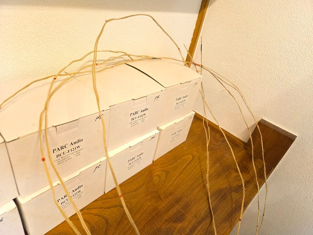 WesternElectric16GA単線ブラックエナメル SPケーブル+おまけ