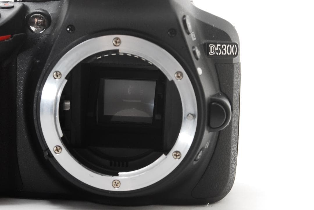 初心者◎ Nikon D5300 ダブルズーム VR2本付 美品