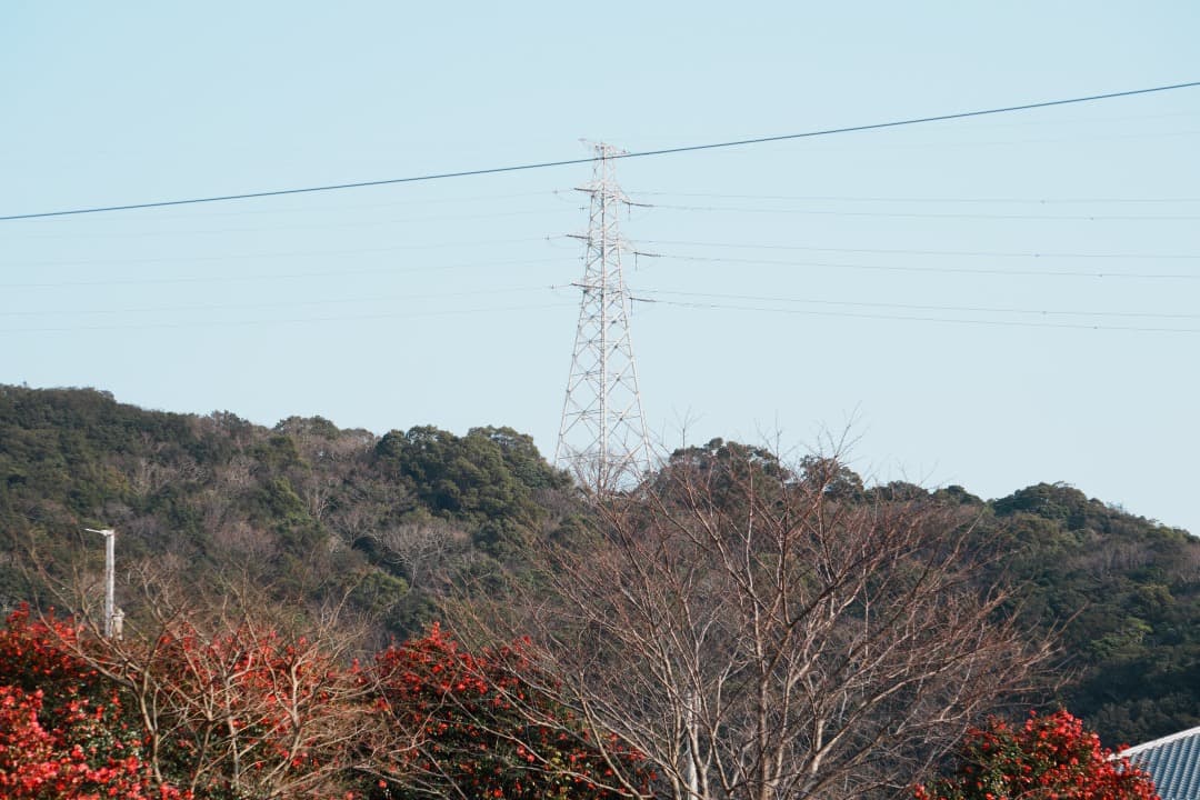 【運動会・スポーツに】SONY 望遠ズームレンズ SEL55210 183