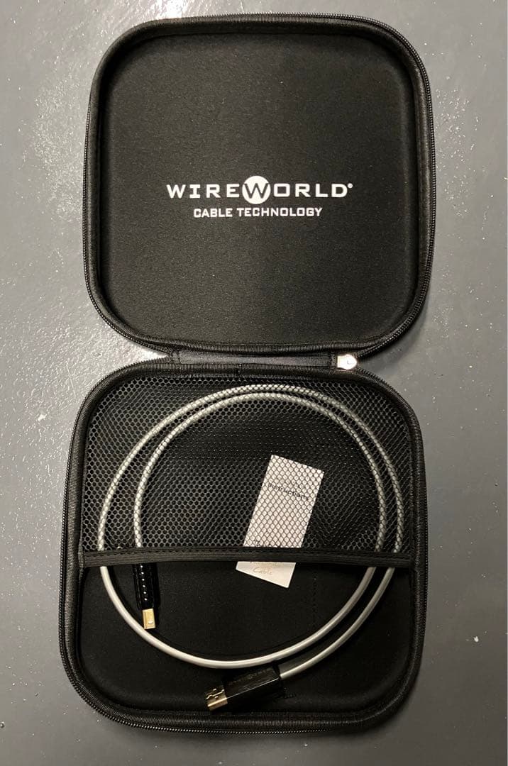 WIREWORLD SILVER STARLIGHT USBケーブル 1m