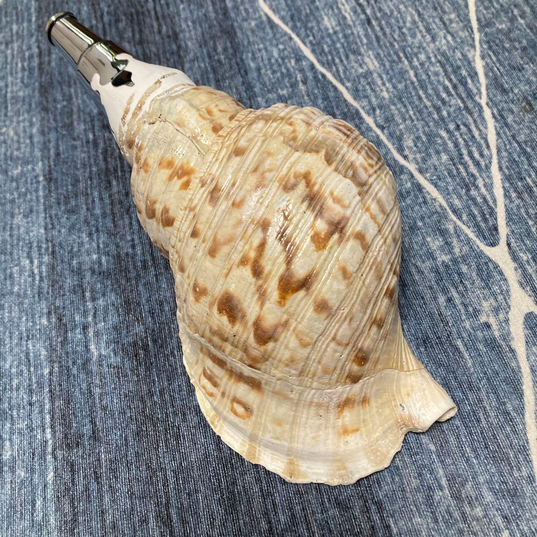 法螺貝　ホラ貝　ほら貝　修験道　山伏