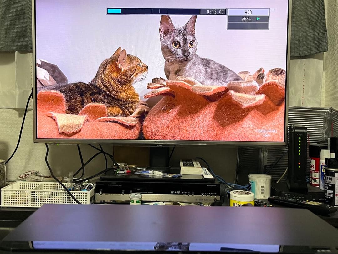 4K 1TB 2番組録画　パナソニックBDレコーダー DMR-BRW1000