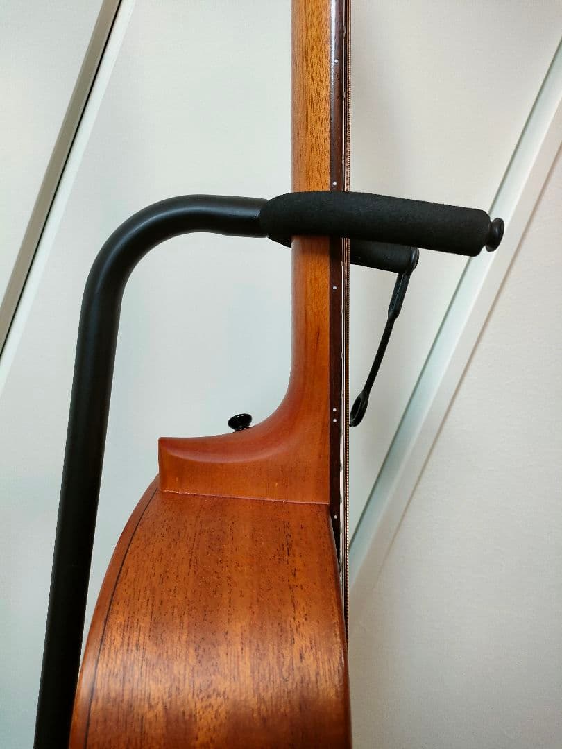 aNueNue Bird MY 20（E）アコースティックギター