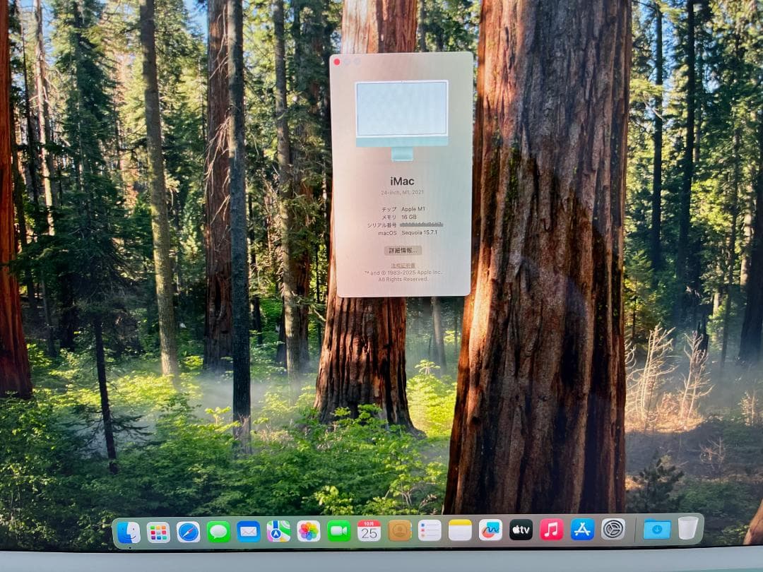 Apple iMac 24インチ M1 メモリー16GB SSD512GB美品