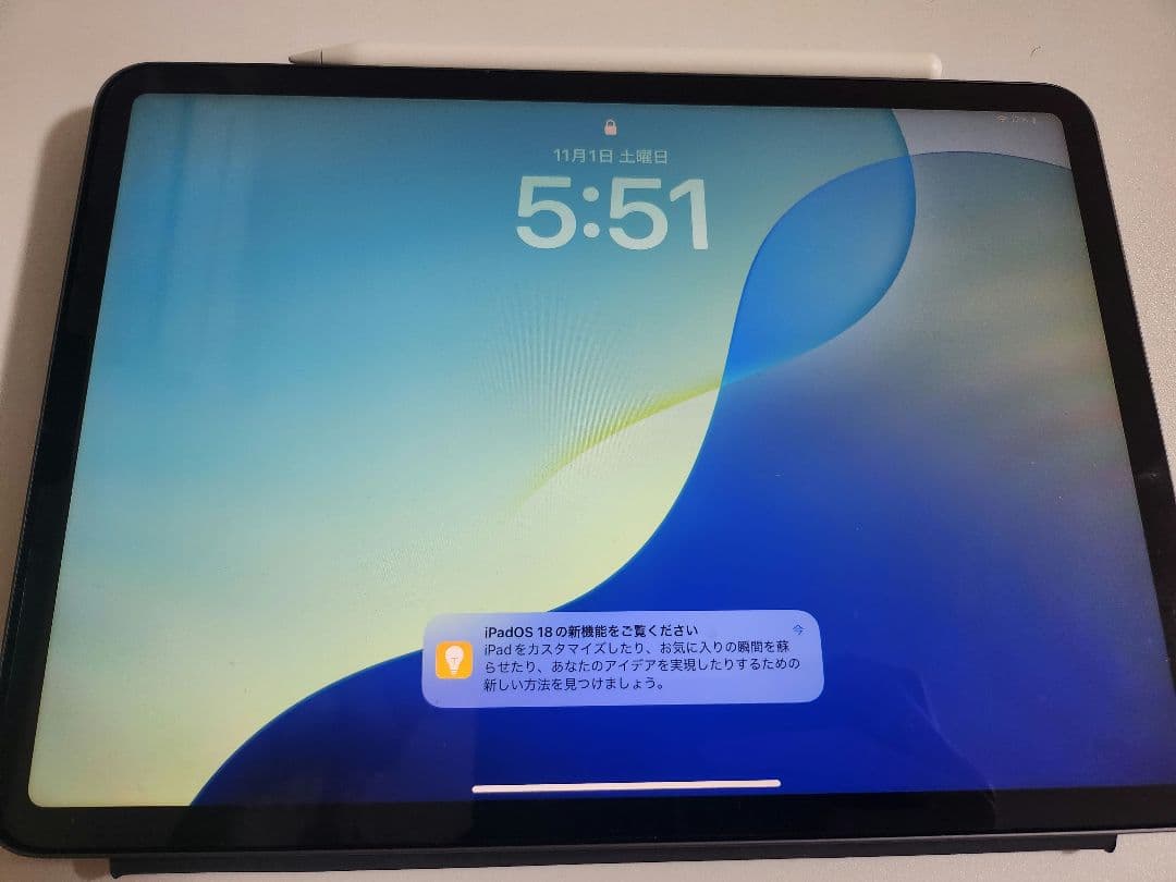 iPad pro (A2228) &Apple Pencil (第2世代)