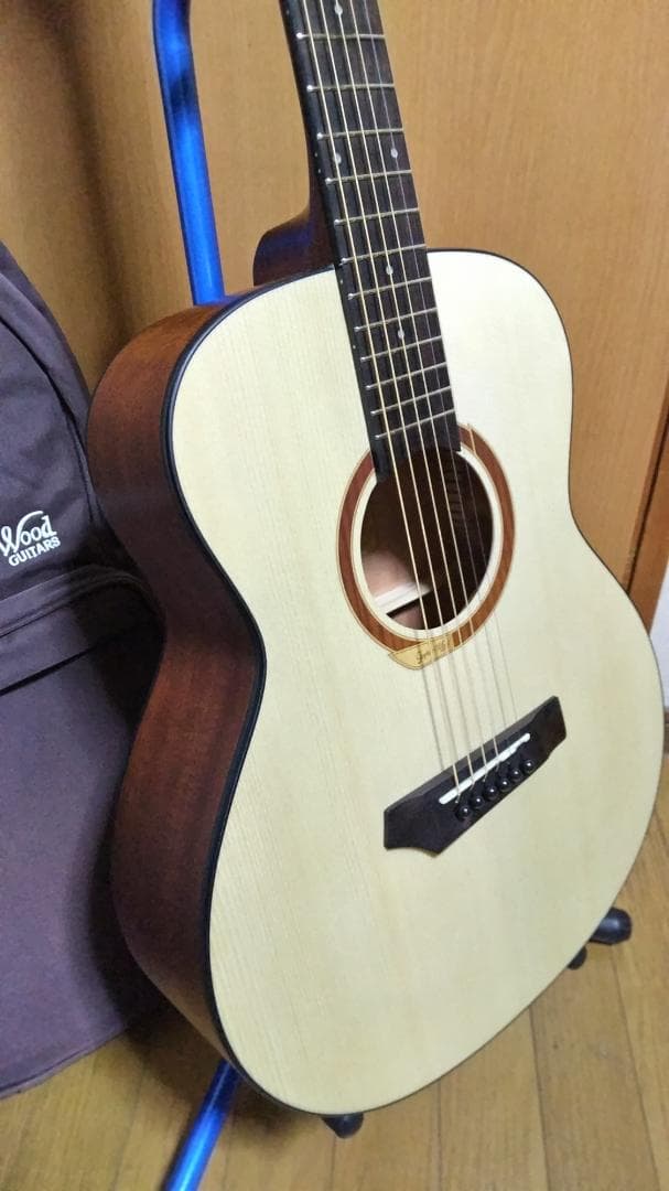 ❤️弦高調整済！「Gopher ゴフェル I110SX 」サウンドピラー内蔵！