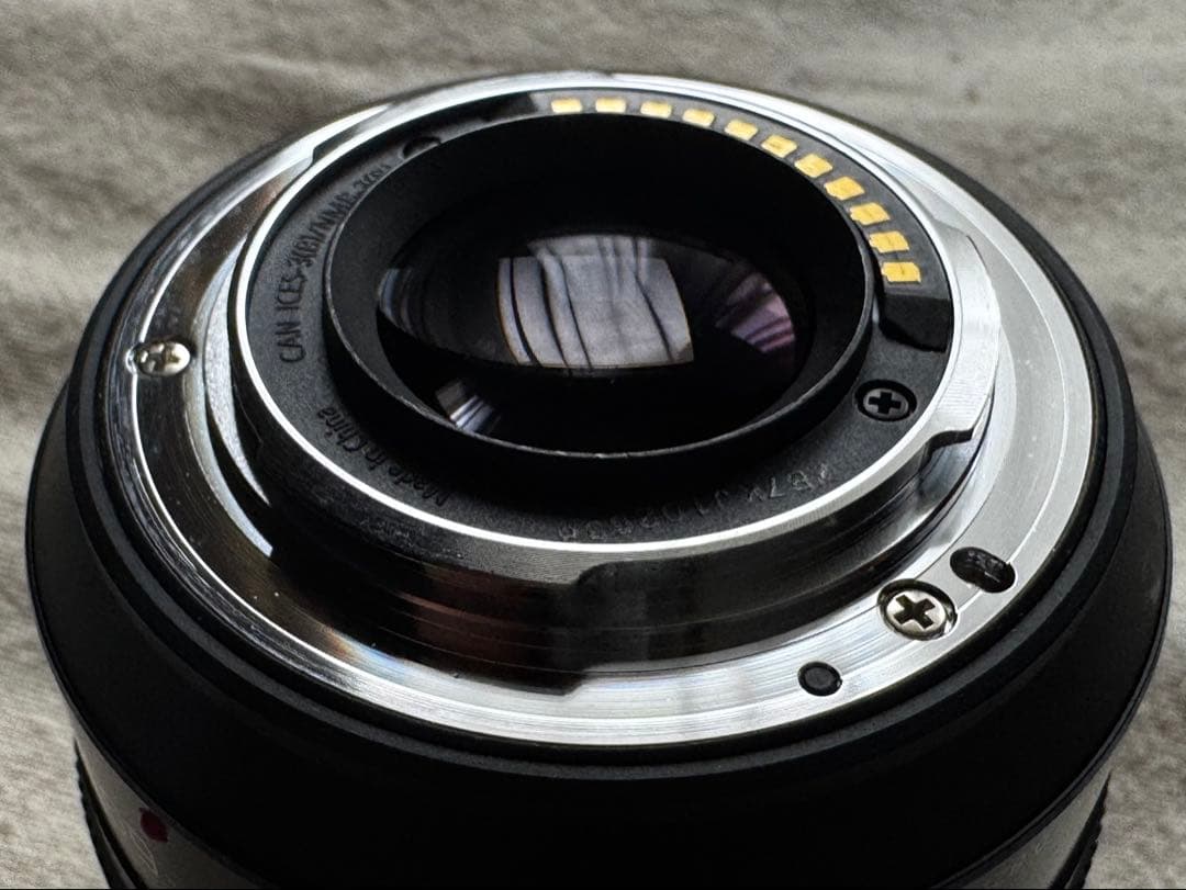 マイクロフォーサーズ Panasonic H-FS12060 12-60mm