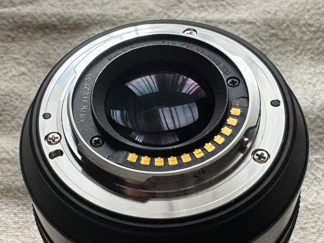 マイクロフォーサーズ Panasonic H-FS12060 12-60mm