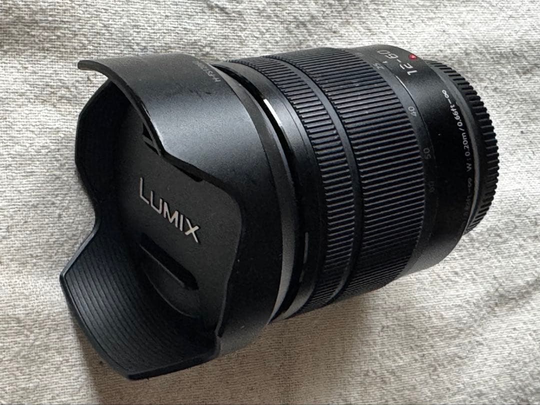マイクロフォーサーズ Panasonic H-FS12060 12-60mm