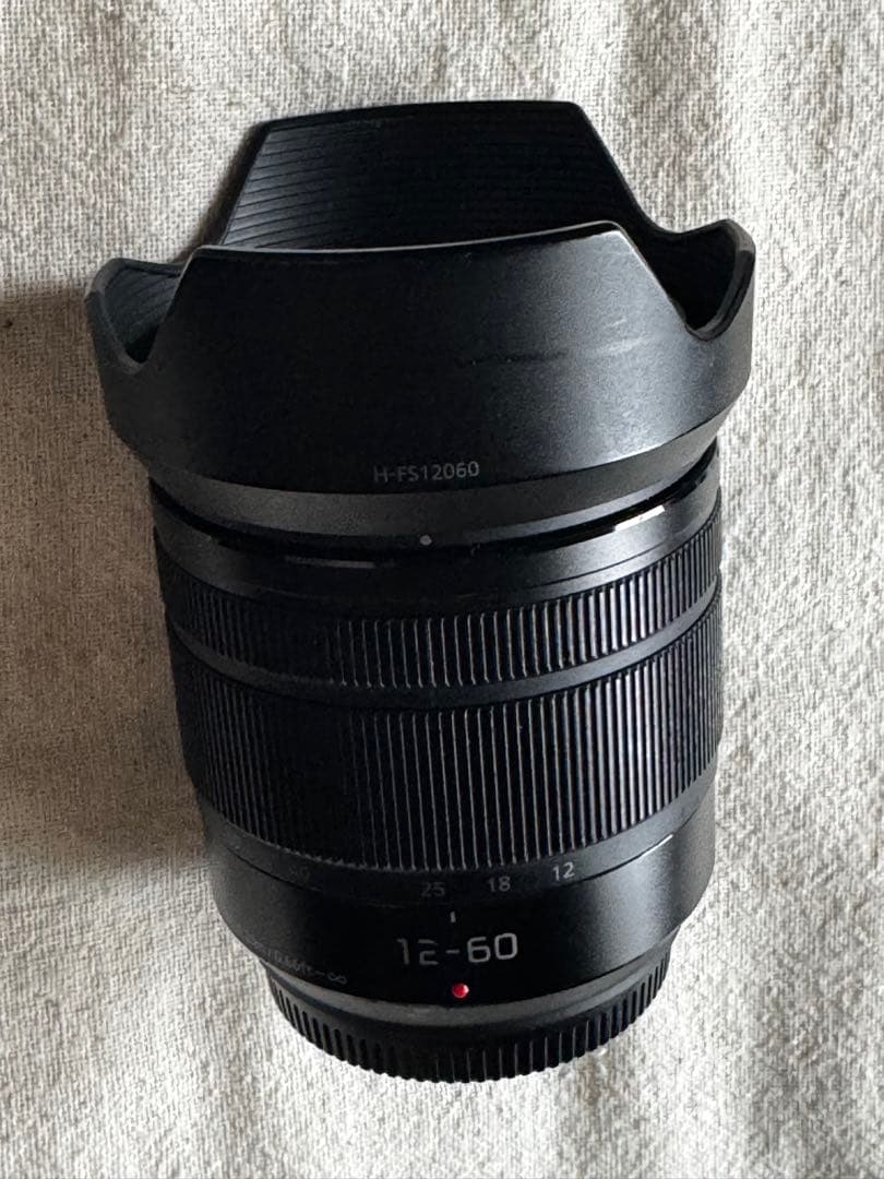 マイクロフォーサーズ Panasonic H-FS12060 12-60mm