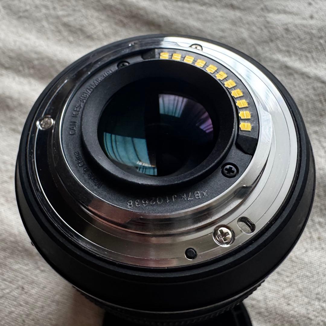 マイクロフォーサーズ Panasonic H-FS12060 12-60mm