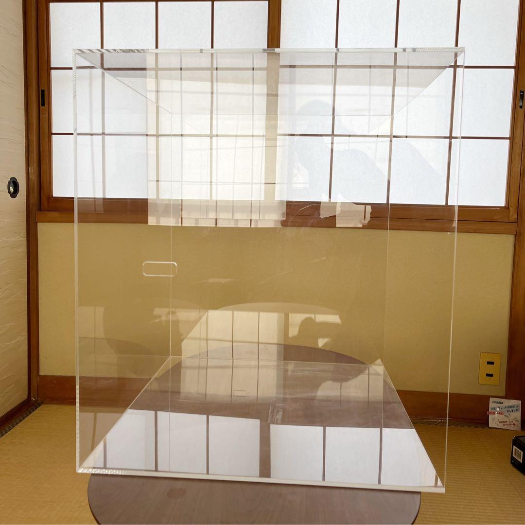 アクリ屋ドットコム　アクリルケース　バードゲージケース　HOEI465オカメ