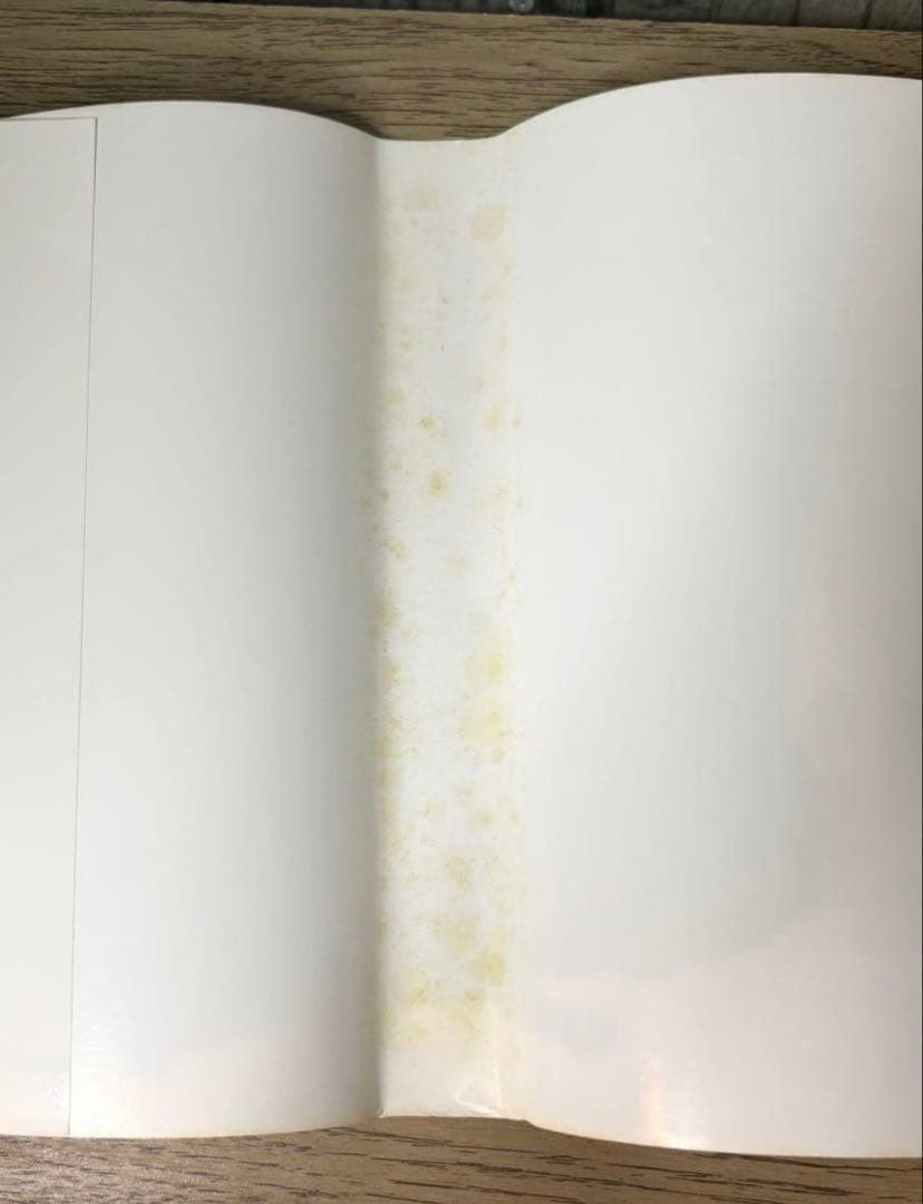 【くまごろう】フィヒテ全集 全23巻中４巻欠 + 補巻 23冊セット