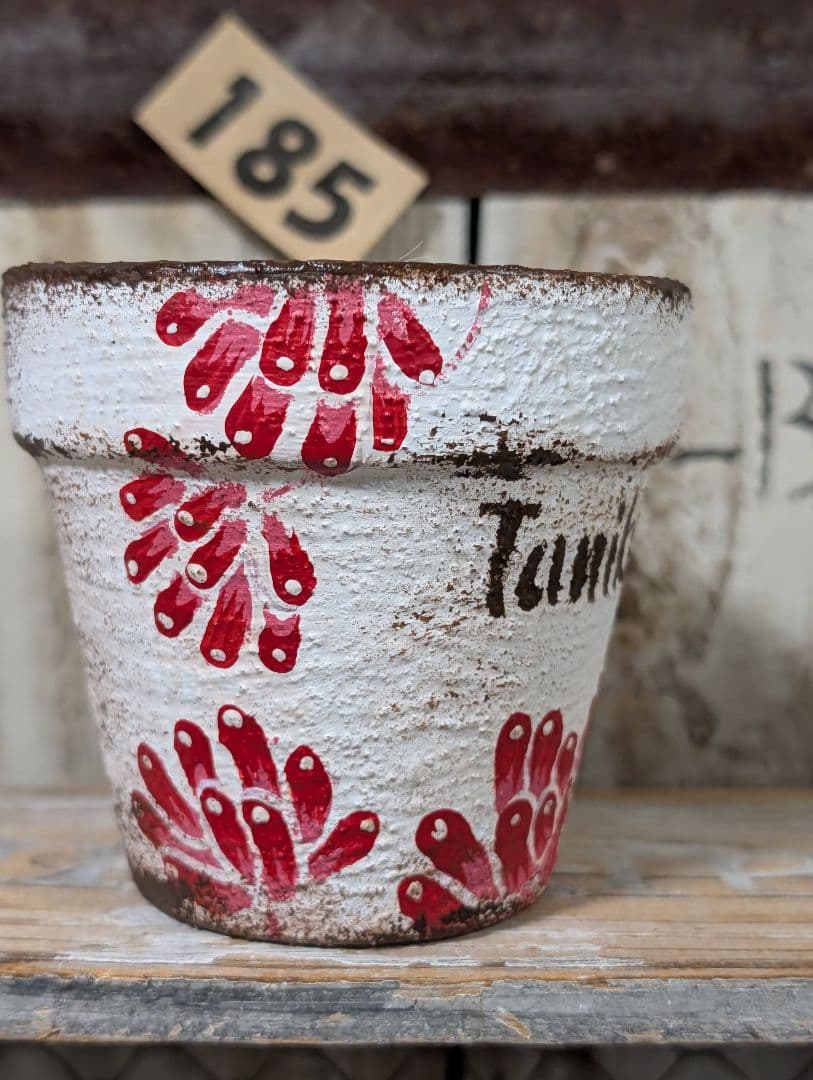 dorukun様♥専用です。185 2.5位の鉢