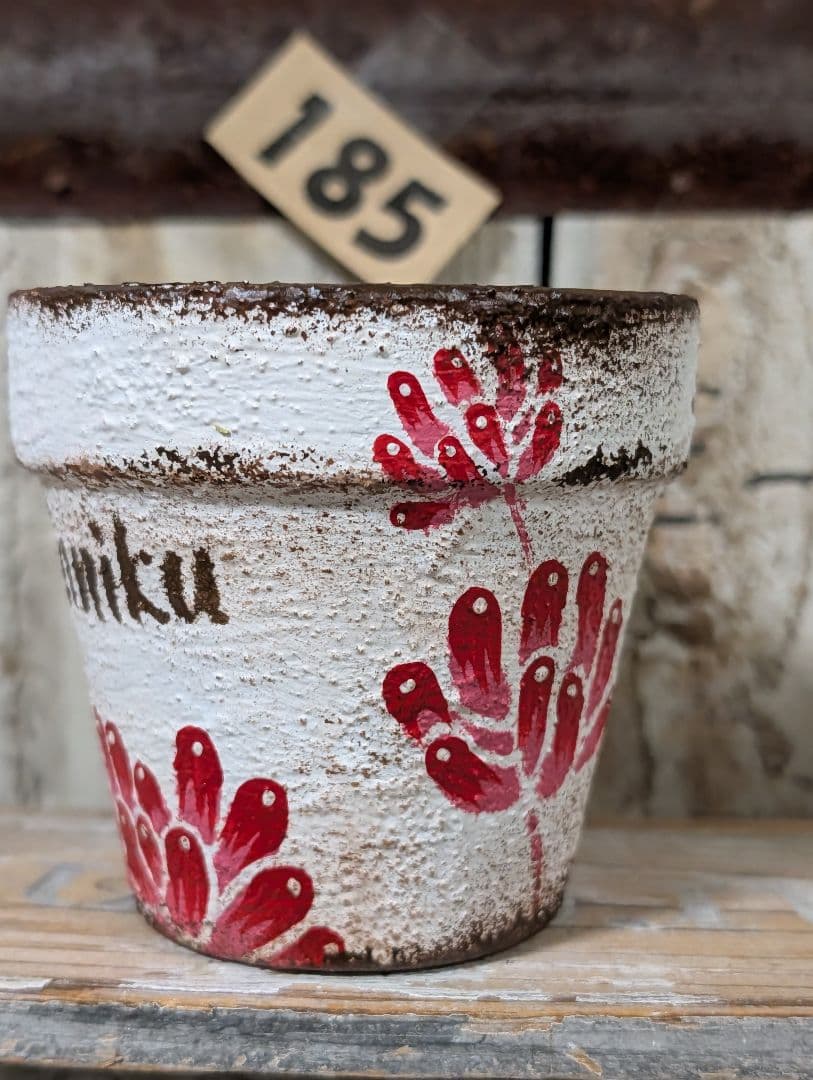 dorukun様♥専用です。185 2.5位の鉢