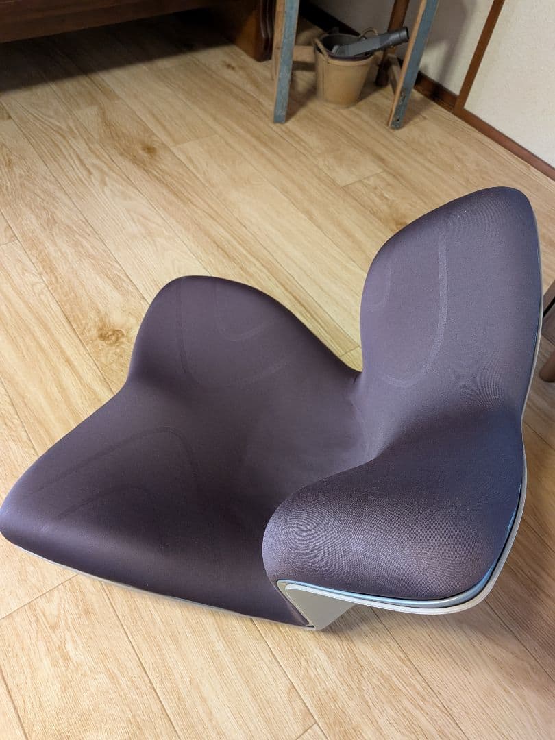 StyIe PREMIUM　スタイルプレミアム　ブラウン　骨盤矯正