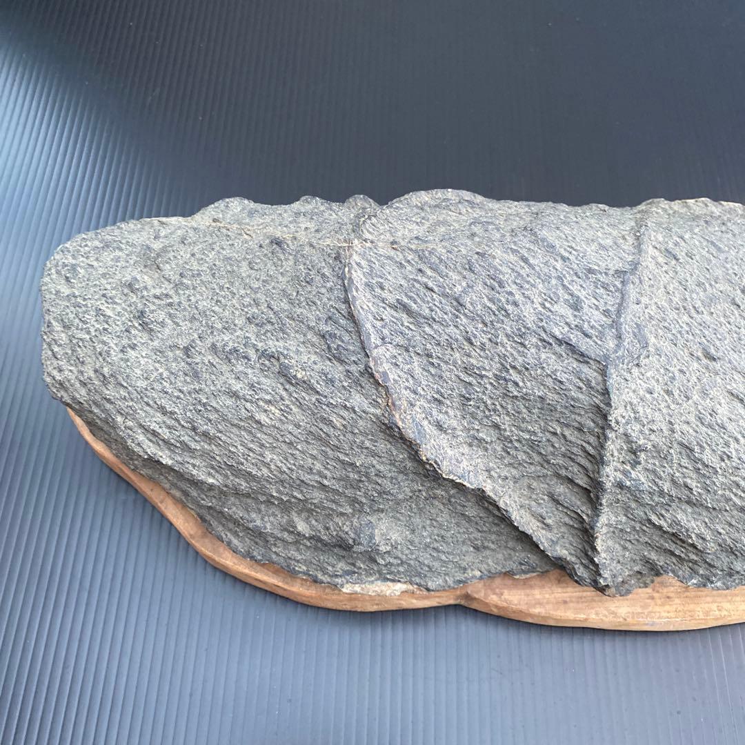 【日本三大銘石佐治石】 古代石 採石禁止石 鯨形 珍品