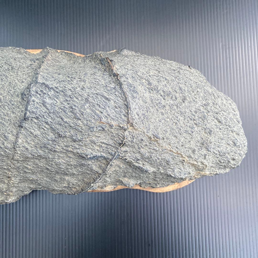 【日本三大銘石佐治石】 古代石 採石禁止石 鯨形 珍品