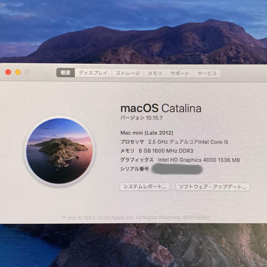 rion1001kun　Mac mini