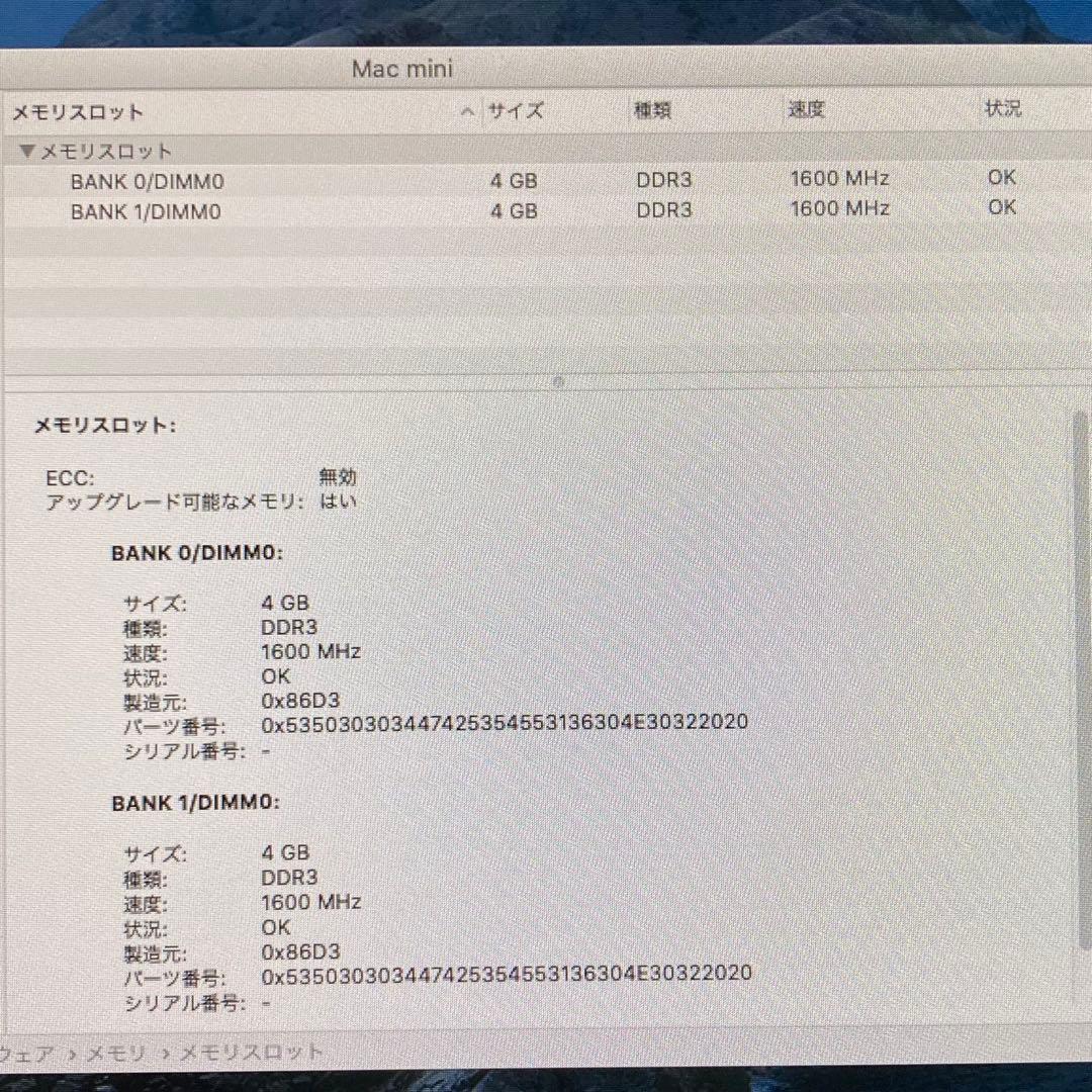 rion1001kun　Mac mini