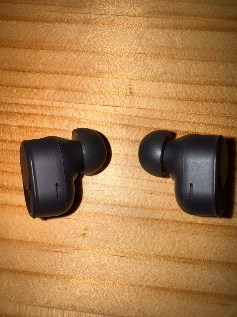 イヤホン Devialet Gemini II Matte Black