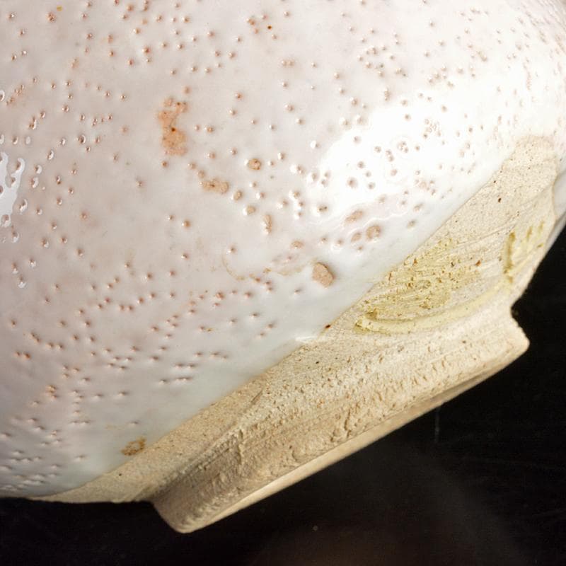 人間国宝　荒川豊蔵作　志野焼　絵志野　茶碗　仕覆付　共箱二重箱　D　R6864