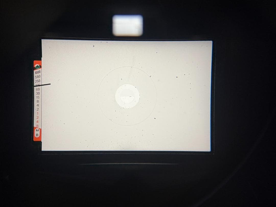 【美品】 ニコン Nikon FE ボディ