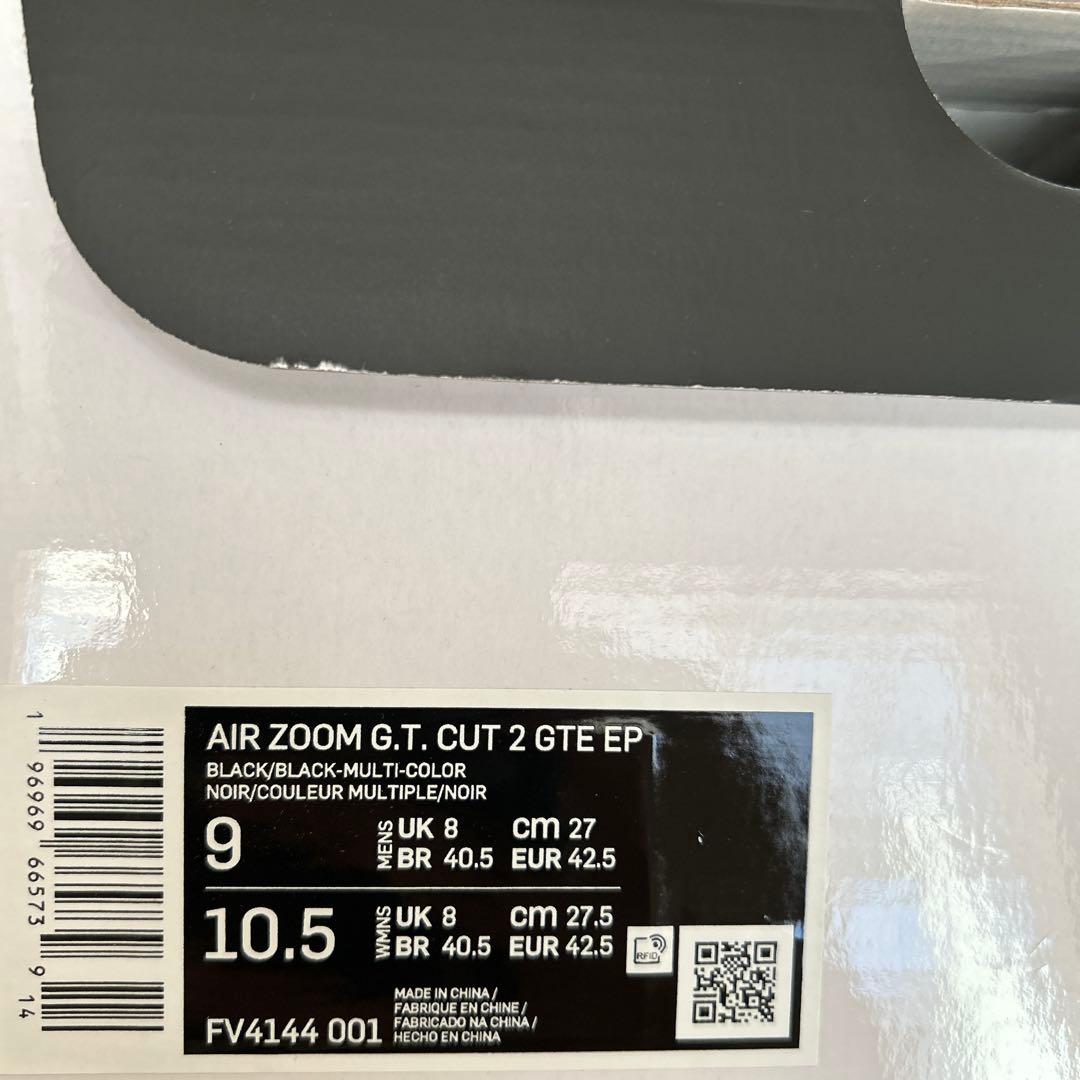 シューズ(男性用) NIKE AIR ZOOM G.T. CUT2 GTE