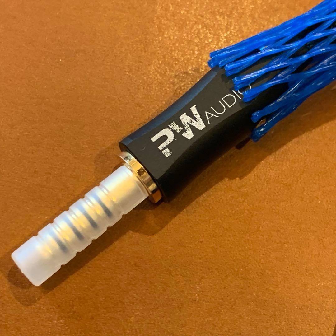 PW Audio 限定品 Eddie Hsueh Re. MMCX 4.4mm